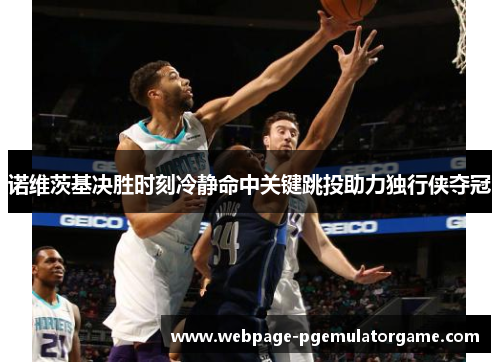 诺维茨基决胜时刻冷静命中关键跳投助力独行侠夺冠