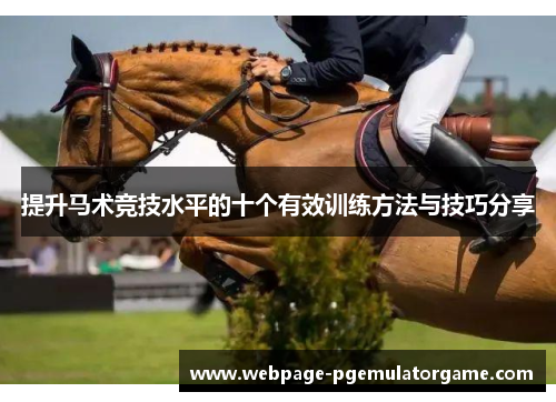 提升马术竞技水平的十个有效训练方法与技巧分享