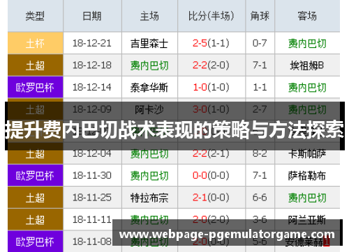 提升费内巴切战术表现的策略与方法探索