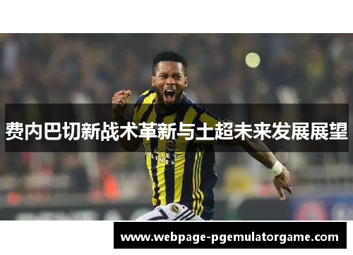 费内巴切新战术革新与土超未来发展展望