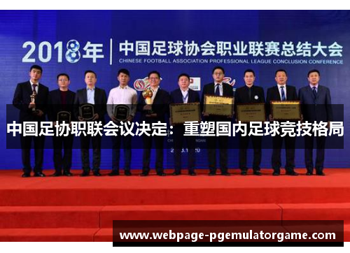 中国足协职联会议决定:重塑国内足球竞技格局 中国足协职联会议决定:重塑国内足球竞技格局