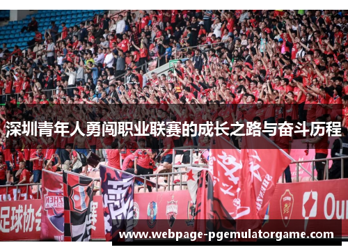 深圳青年人勇闯职业联赛的成长之路与奋斗历程 深圳青年人勇闯职业联赛的成长之路与奋斗历程
