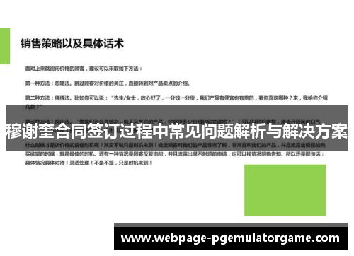 穆谢奎合同签订过程中常见问题解析与解决方案 穆谢奎合同签订过程中常见问题解析与解决方案