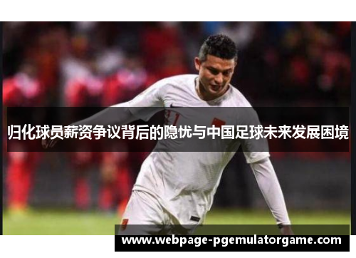归化球员薪资争议背后的隐忧与中国足球未来发展困境