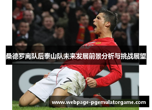桑德罗离队后泰山队未来发展前景分析与挑战展望