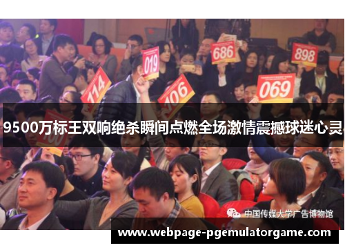 9500万标王双响绝杀瞬间点燃全场激情震撼球迷心灵