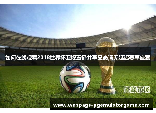 如何在线观看2018世界杯卫视直播并享受高清无延迟赛事盛宴