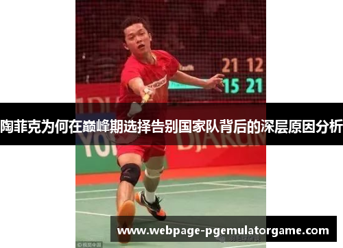 陶菲克为何在巅峰期选择告别国家队背后的深层原因分析