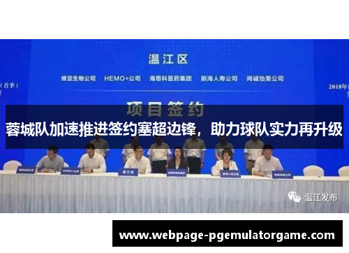 蓉城队加速推进签约塞超边锋,助力球队实力再升级 蓉城队加速推进签约塞超边锋,助力球队实力再升级