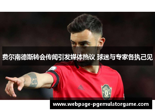 费尔南德斯转会传闻引发媒体热议 球迷与专家各执己见