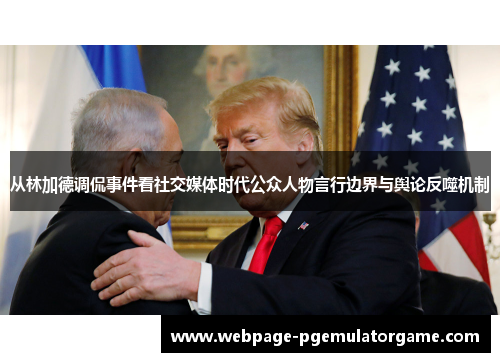 从林加德调侃事件看社交媒体时代公众人物言行边界与舆论反噬机制