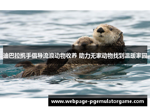 迪巴拉携手倡导流浪动物收养 助力无家动物找到温暖家园 迪巴拉携手倡导流浪动物收养 助力无家动物找到温暖家园