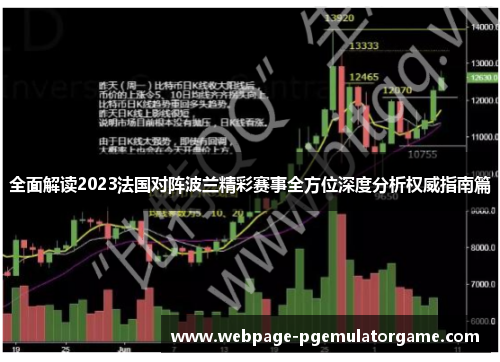 全面解读2023法国对阵波兰精彩赛事全方位深度分析权威指南篇