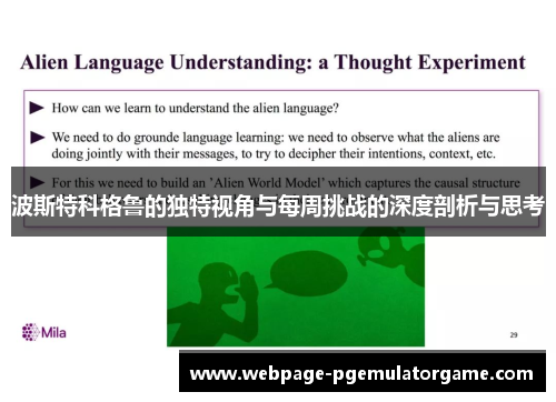 波斯特科格鲁的独特视角与每周挑战的深度剖析与思考
